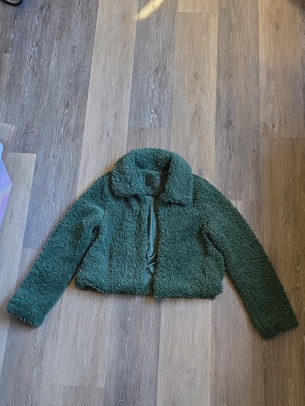 Green Fuax Fur Jacket - Cozy Teddy Coat